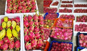Labriego del km 24 de Minga Guazú se dedica a la producción de pitaya - La Clave