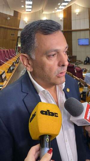 Diputado Édgar Olmedo reconoce chats con Lalo Gomes: así justificó los “pedidos” - Política - ABC Color