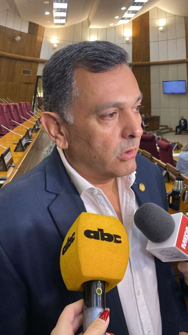 Diputado Édgar Olmedo reconoce chats con Lalo Gomes: así justificó los “pedidos” - Política - ABC Color