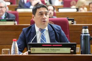 Nakayama cuestionó a Emiliano Rolón al "no dar la cara" ante el Congreso - 1000 Noticias