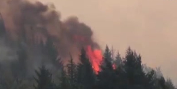 Incendios arrasaron 79 millones de hectáreas en Sudamérica durante 2024 - SNT