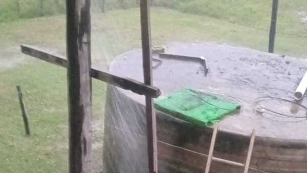Después de largos meses se registran lluvias en el Chaco, pero insuficientes para aliviar la sequía