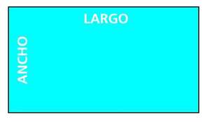 Perímetro y área del rectángulo - Matemática Primer Ciclo - ABC Color