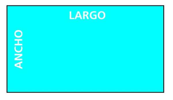 Perímetro y área del rectángulo - Matemática Primer Ciclo - ABC Color