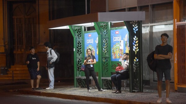 Un búho cada 30 a 40 minutos: ¿Cuál es el itinerario del servicio nocturno?