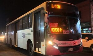 Buses “búho” operarán desde el viernes