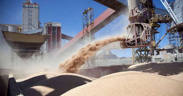 La Nación / Cappro pide avanzar en mayor industrialización aprovechando potencial del sector