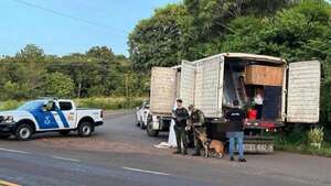 Camionero paraguayo detenido en Argentina con casi 4 toneladas de marihuana - Policiales - ABC Color
