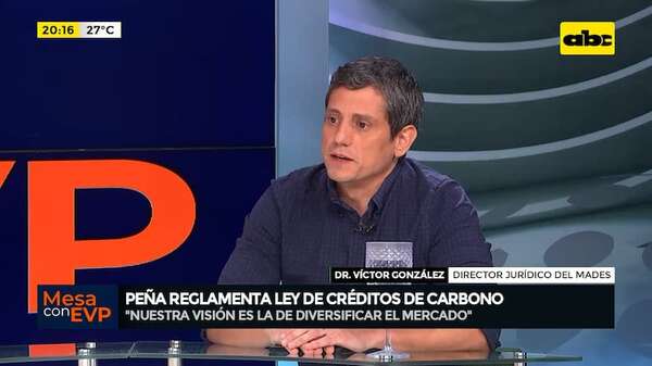 ¿Qué beneficios traerá la Ley de créditos de carbono?: esto dice el director jurídico del Mades - Mesa de Periodistas - ABC Color