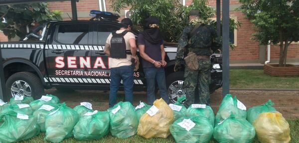 Incautan marihuana con alto contenido de THC en La Paloma - 1000 Noticias