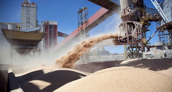 Fortalecer la industria aceitera paraguaya permitirá ampliar su impacto positivo sobre la economía