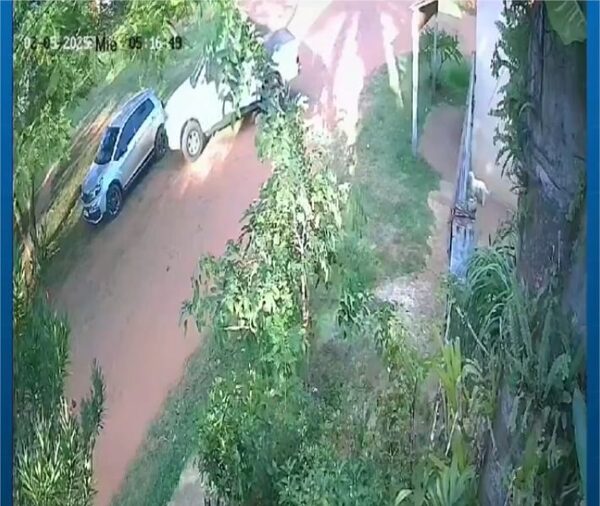 (Video) Abogados se ven involucrados en extraño incidente de tránsito