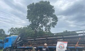 Canindeyú: ¿Rapai metió por contrabando una cosechadora?