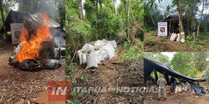 DESTRUYEN PLANTACIÓN DE MARIHUANA EN ITAPÚA POTY