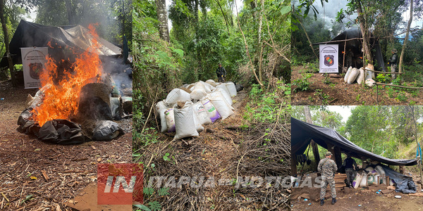 DESTRUYEN PLANTACIÓN DE MARIHUANA EN ITAPÚA POTY