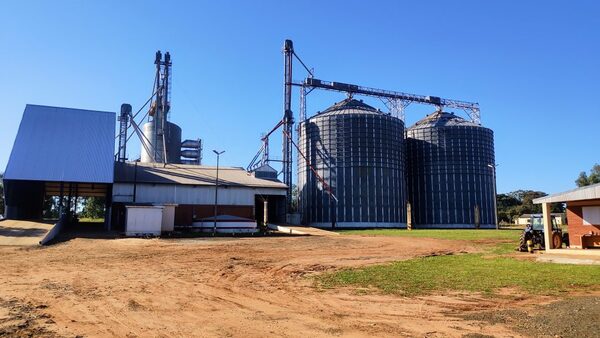 Hace más de un año, pequeños productores de San Pedro soportan millonaria deuda de una empresa - ADN Digital