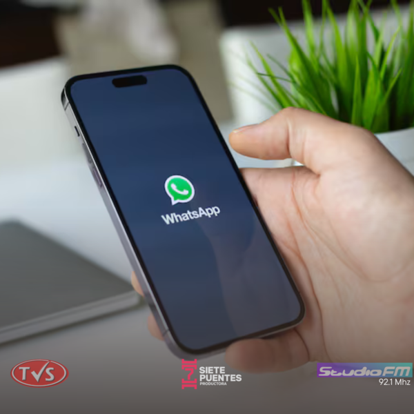 ¡Al fin! Convertí tus audios de WhatsApp a texto con esta sencilla guía - TVS