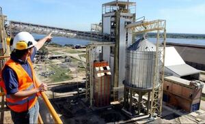 Industria aceitera busca impactar positivamente sobre la economía