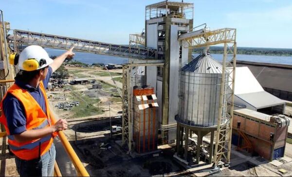 Industria aceitera busca impactar positivamente sobre la economía
