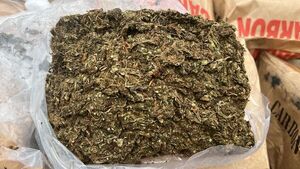 Incautan marihuana oculta en bolsas de carbón