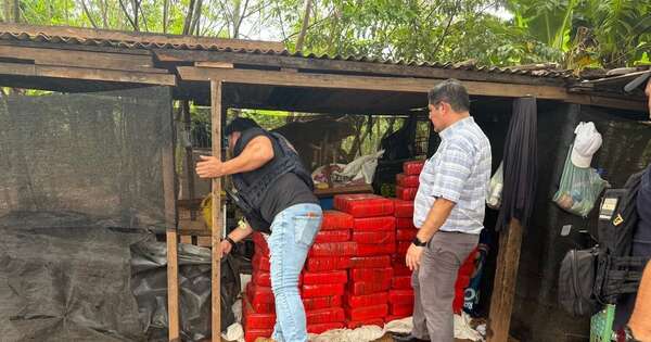Diario HOY | Descubren “narco depósito” e incautan más de 400 kilos de marihuana en Yby Pytá