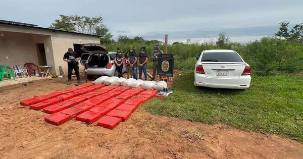 La Nación / Anulan depósito de marihuana y detienen a cuatro personas en Canindeyú