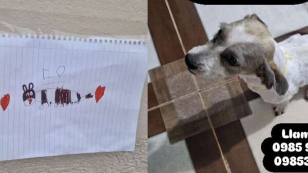Niño dibujó a su perrito perdido para encontrarlo