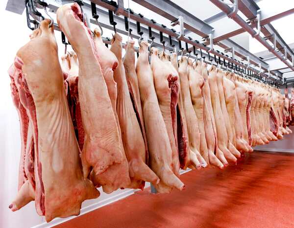 Itapúa impulsa la exportación de carne porcina con énfasis en bioseguridad
