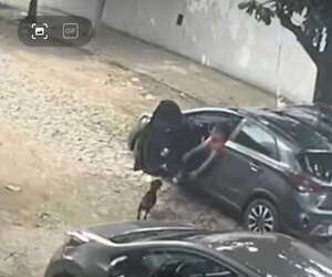 Video: se llevaron a la mascota de un local comercial, pero reapareció tras viralización del caso - Nacionales - ABC Color