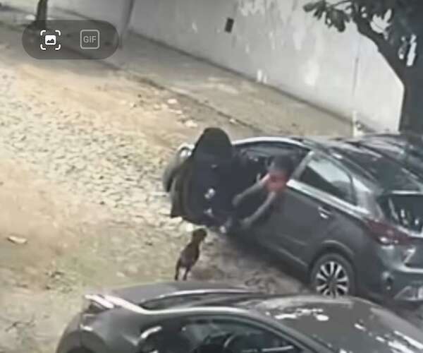 Video: se llevaron a la mascota de un local comercial, pero reapareció tras viralización del caso - Nacionales - ABC Color