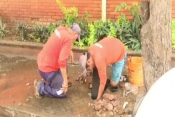 Ola de robos en San Lorenzo: se llevan más de 30 medidores de agua - SNT
