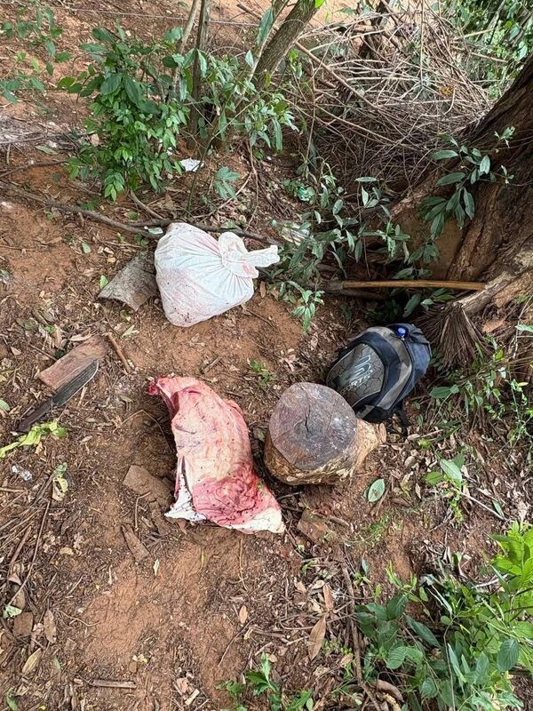 Recuperan carne vacuna tras abigeato en Paso Horqueta