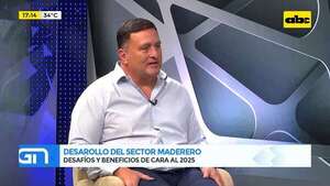 Desarrollo del sector maderero: desafíos y beneficios de cara al 2025 - Gente & Negocios - ABC Color
