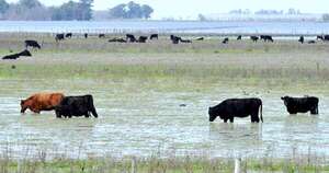 La Nación / Sector agrícola pasará a periodo neutral, tras salir del fenómeno La Niña
