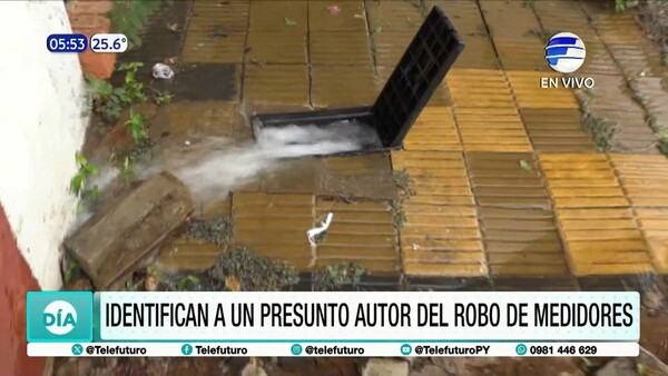 Identifican a presunto autor del robo de medidores en San Lorenzo
