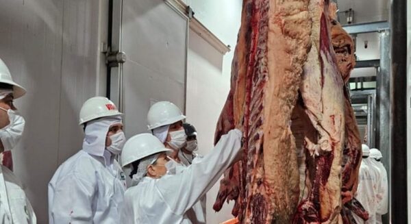 Habilitan a dos frigoríficos paraguayos exportar carne porcina y bovina a Taiwán