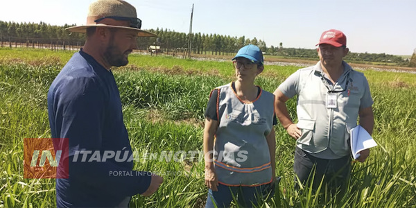 COMIENZA LA ENCUESTA NACIONAL AGROPECUARIA 2025 EN PARAGUAY