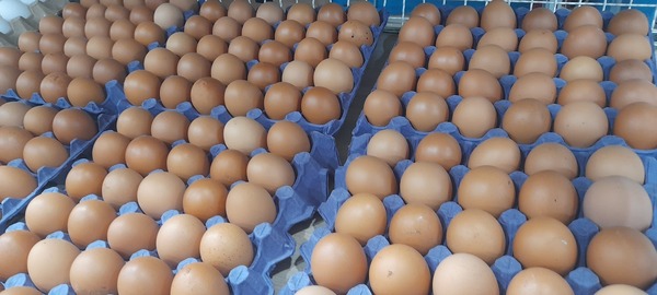 Aumento de precios de huevos debido a alta demanda