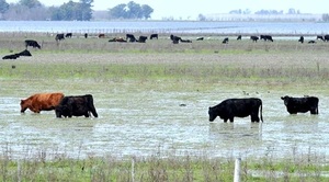 Sector agrícola pasará a periodo neutral, tras salir del fenómeno La Niña