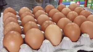 El huevo volvió a subir y la plancha ya cuesta G. 45.000