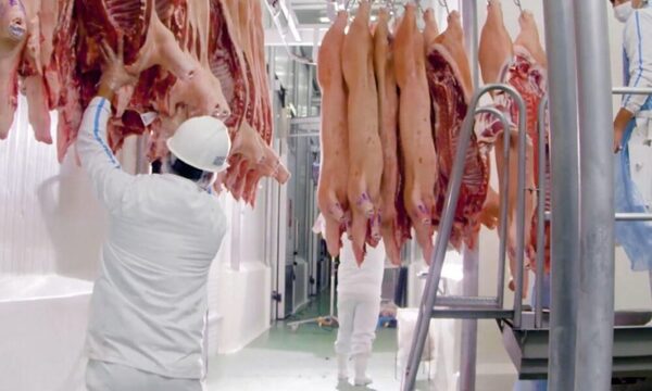 Confirmado: Taiwán habilitó a frigoríficos paraguayos para exportar carne porcina y bovina