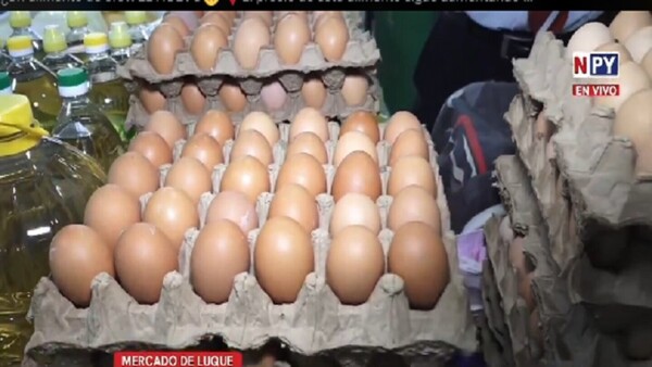 El precio del huevo ya supera los G. 45.000 en algunos comercios