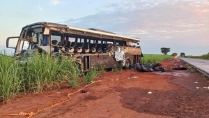 Tragedia en Brasil: doce estudiantes universitarios murieron en un accidente entre un autobús y un camión - ADN Digital