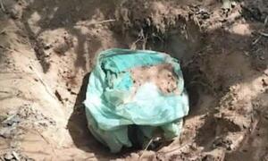 Hallan caleta con documentos y municiones en la búsqueda de Félix Urbieta – Prensa 5