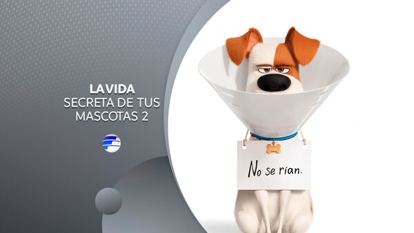 La vida secreta de tus mascotas 2