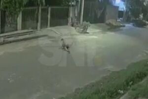 Joven asesinado en San Lorenzo-Luque: 14 puñaladas y disparos - SNT