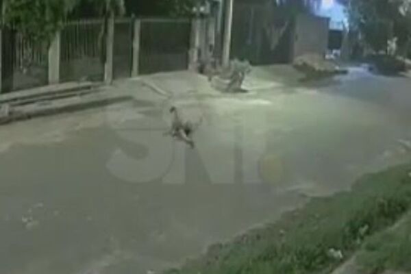 Joven asesinado en San Lorenzo-Luque: 14 puñaladas y disparos - SNT