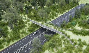 Primer paso de fauna elevado del país será construido en Alto Paraná