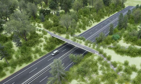 Primer paso de fauna elevado del país será construido en Alto Paraná