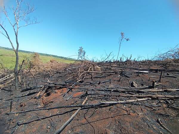 Imputan a un productor por tala y quema ilegal de bosque nativo - ABC en el Este - ABC Color